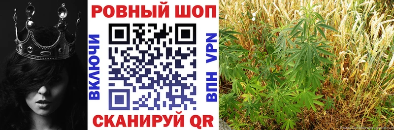 Продажа наркотиков Гвардейск Альфа ПВП Галлюциногенные грибы Кодеин МЕФ Гашиш Героин