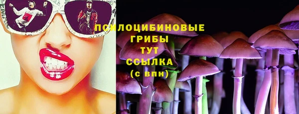 apvp Апатиты