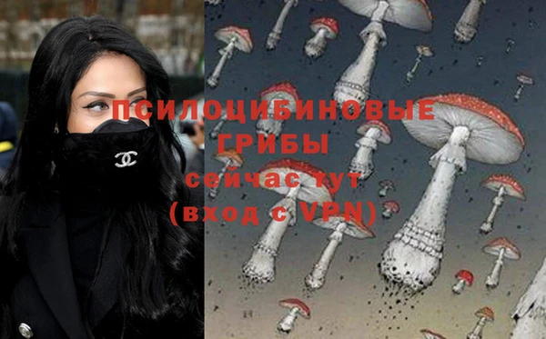 apvp Апатиты