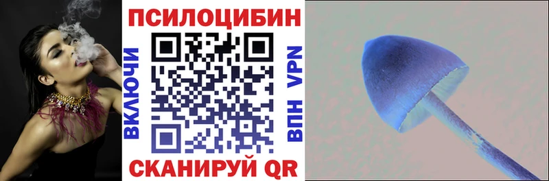 Галлюциногенные грибы Magic Shrooms  Гвардейск 